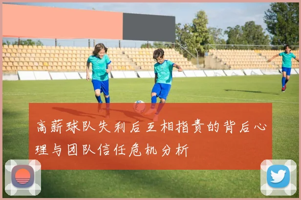 高薪球队失利后互相指责的背后心理与团队信任危机分析