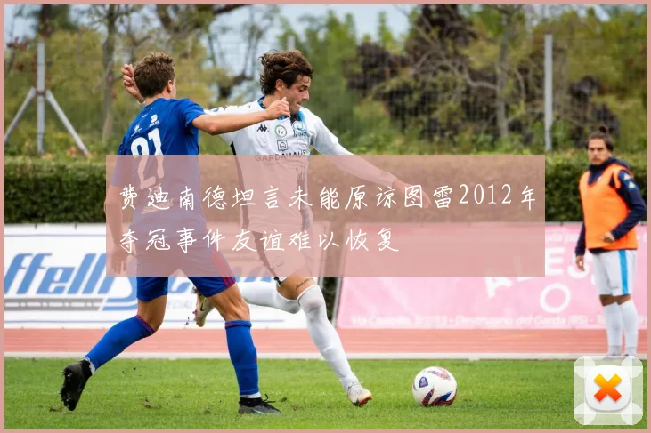 费迪南德坦言未能原谅图雷2012年夺冠事件友谊难以恢复