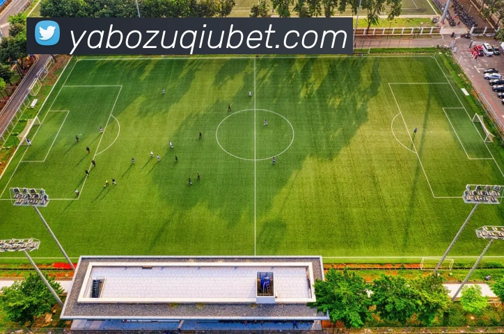 App Interface Preview